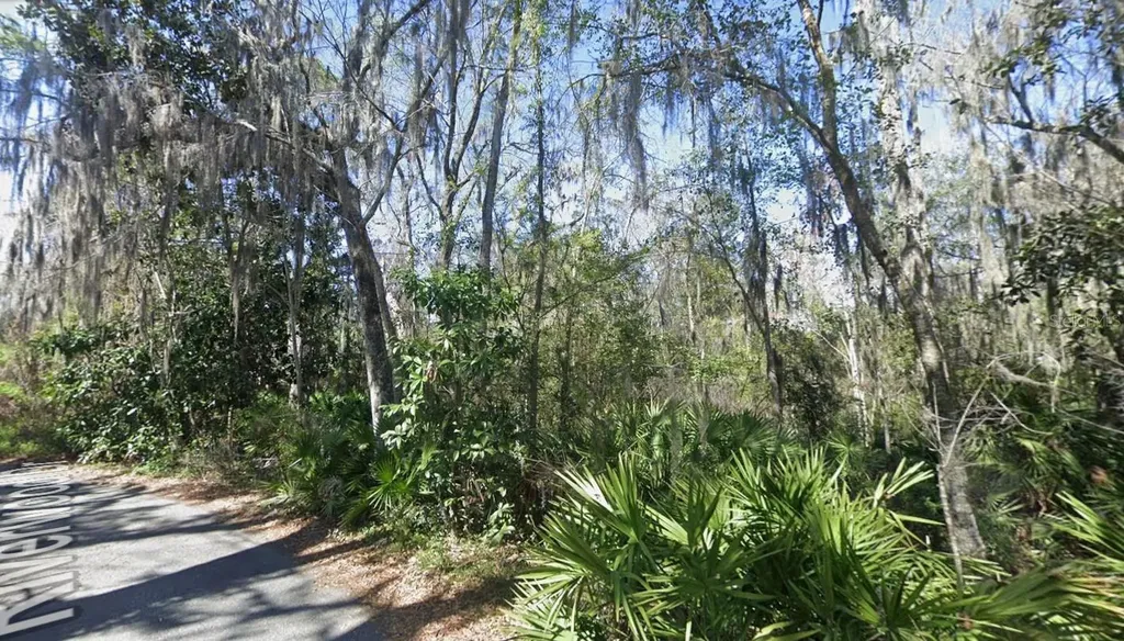 Riverwood Drive Fleming Island FL 32003