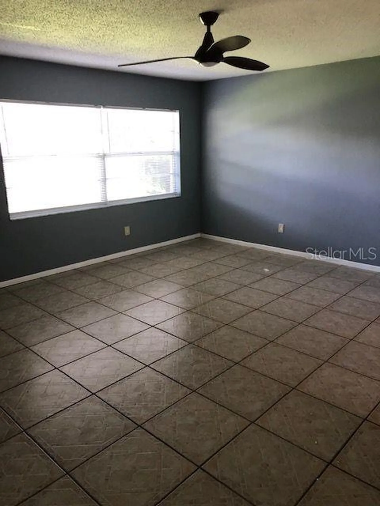 3022 Meadow Lake Avenue Largo FL 33771