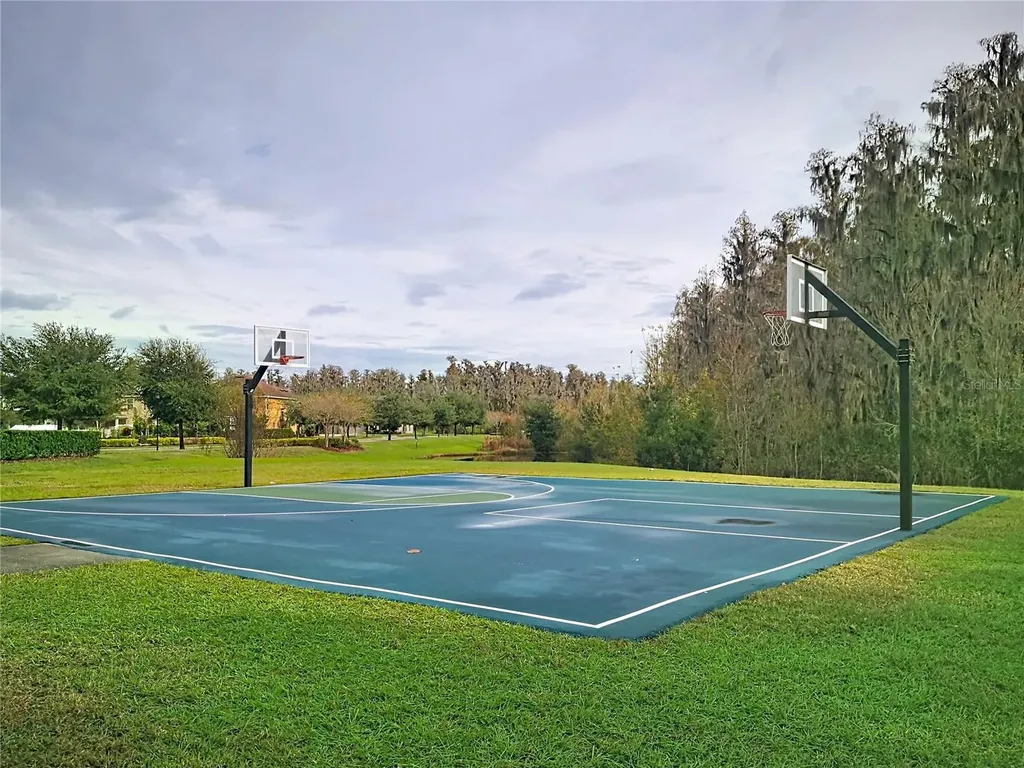 10645 Mistflower Lane Tampa FL 33647