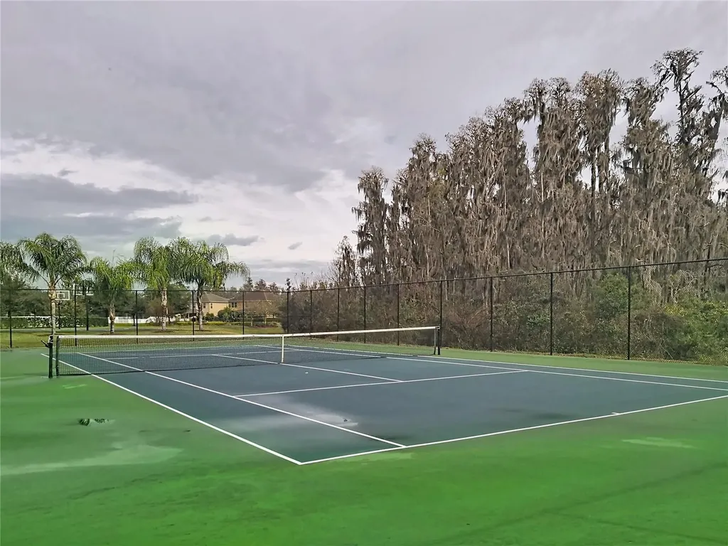 10645 Mistflower Lane Tampa FL 33647