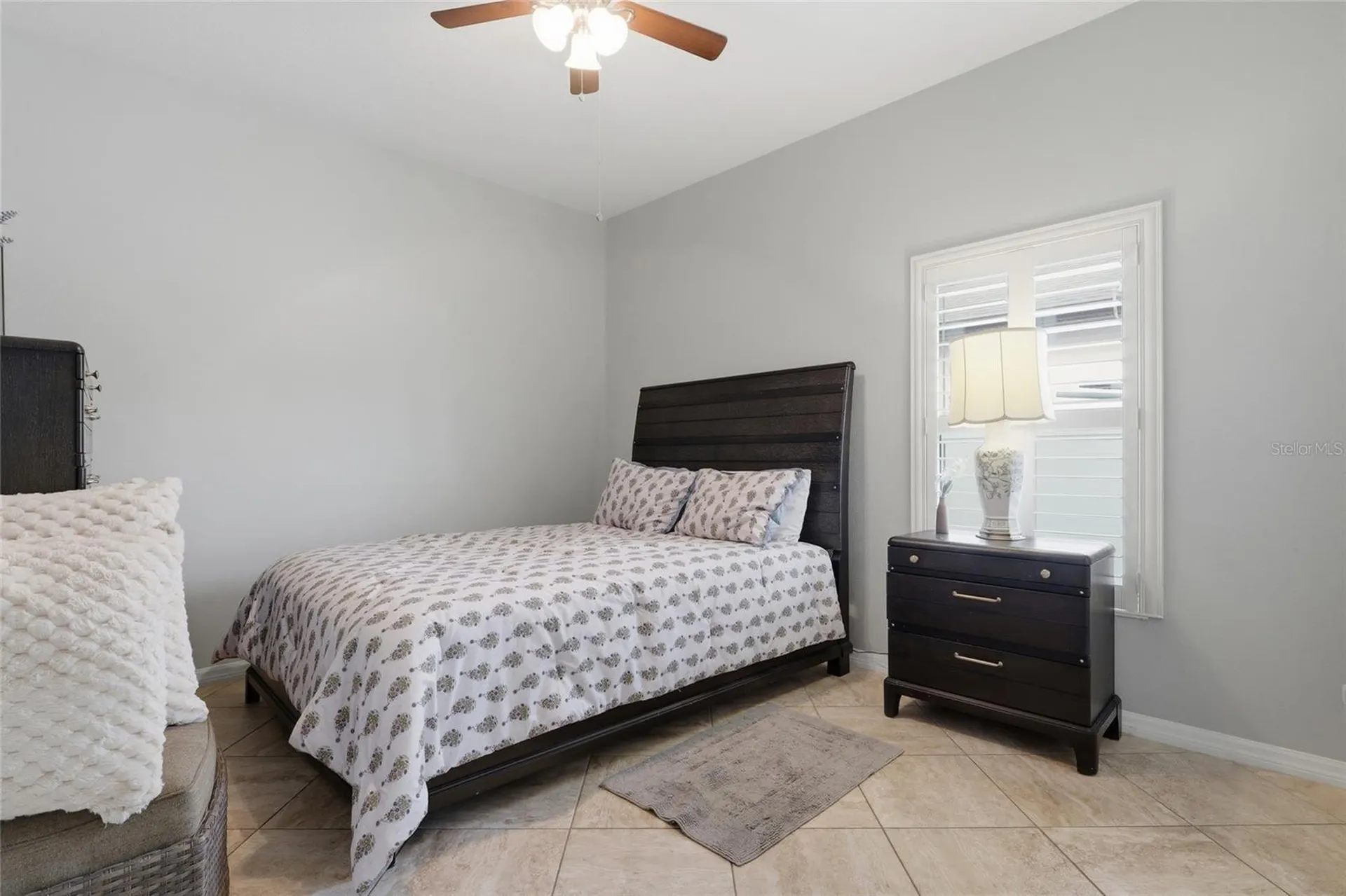 10645 Mistflower Lane Tampa FL 33647