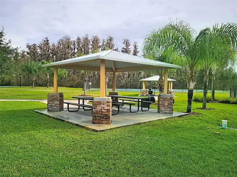 10645 Mistflower Lane Tampa FL 33647