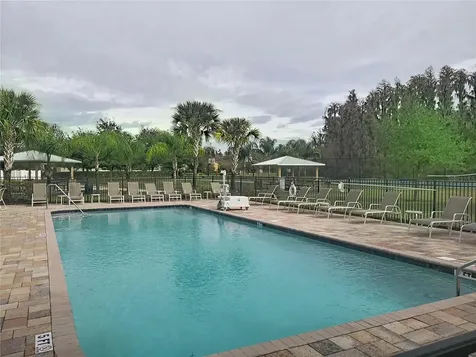 10645 Mistflower Lane Tampa FL 33647