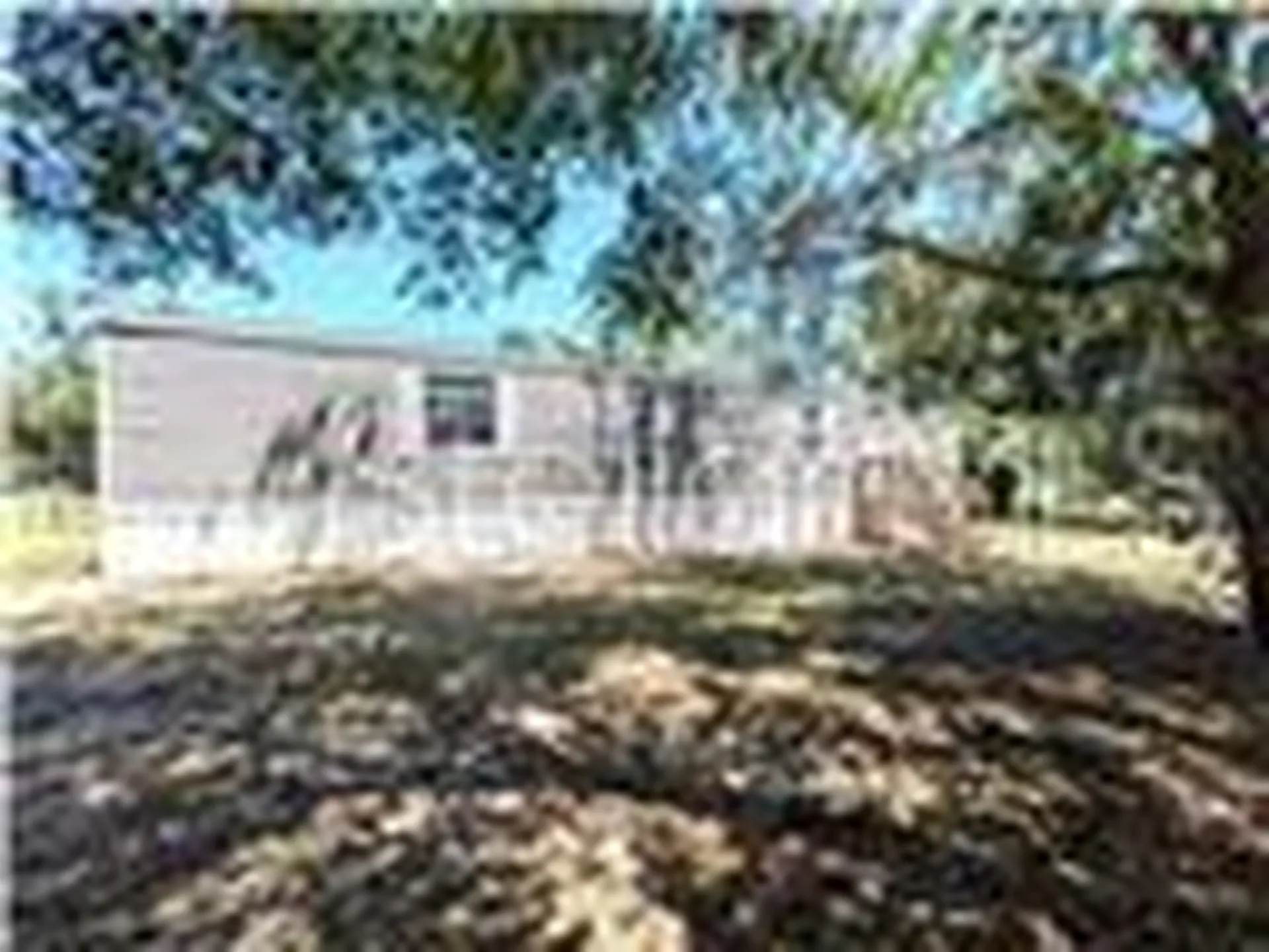 5416 W Cougar Lane Dunnellon FL 34433