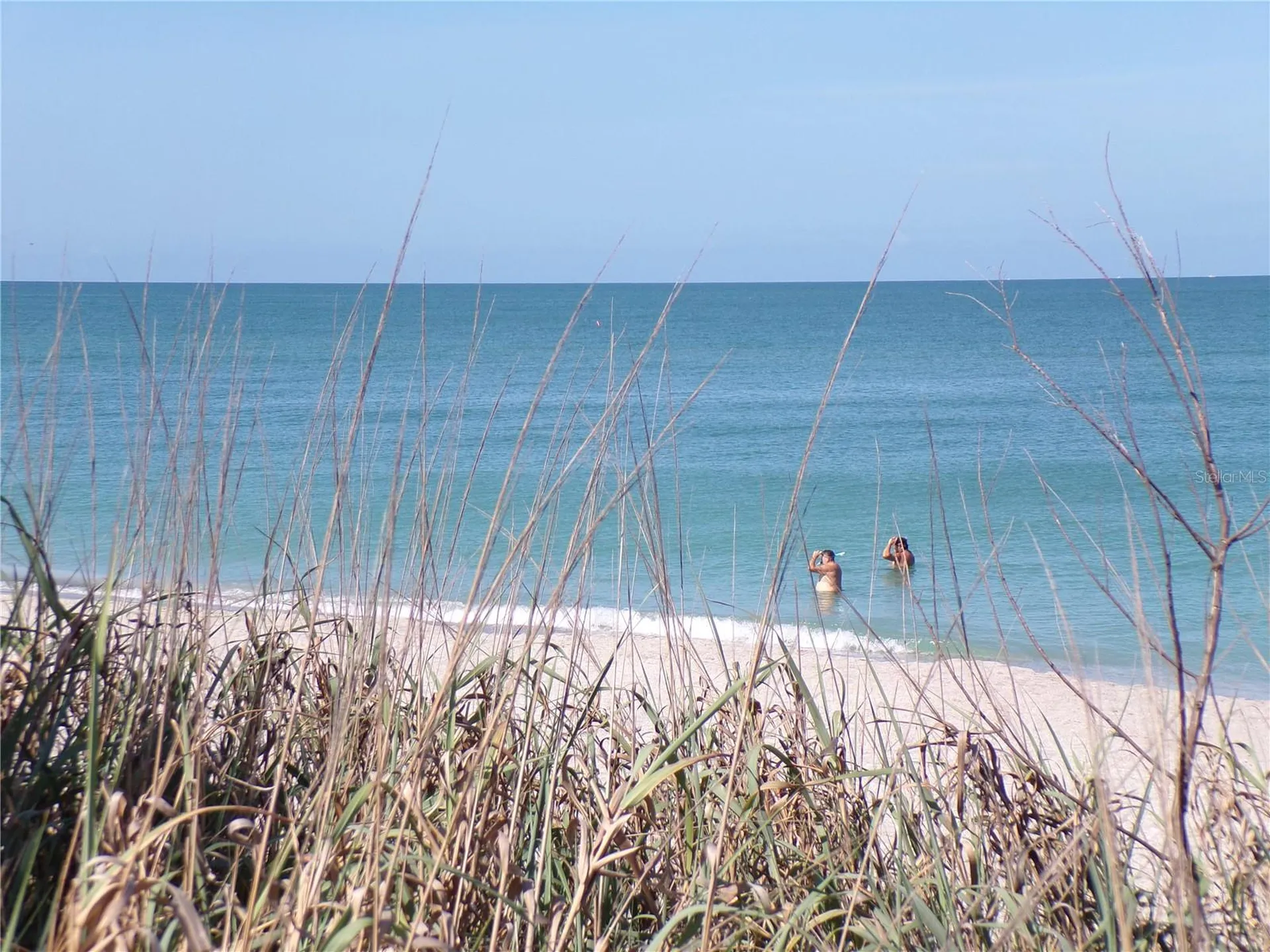 1124 Sunset Drive Venice FL 34285