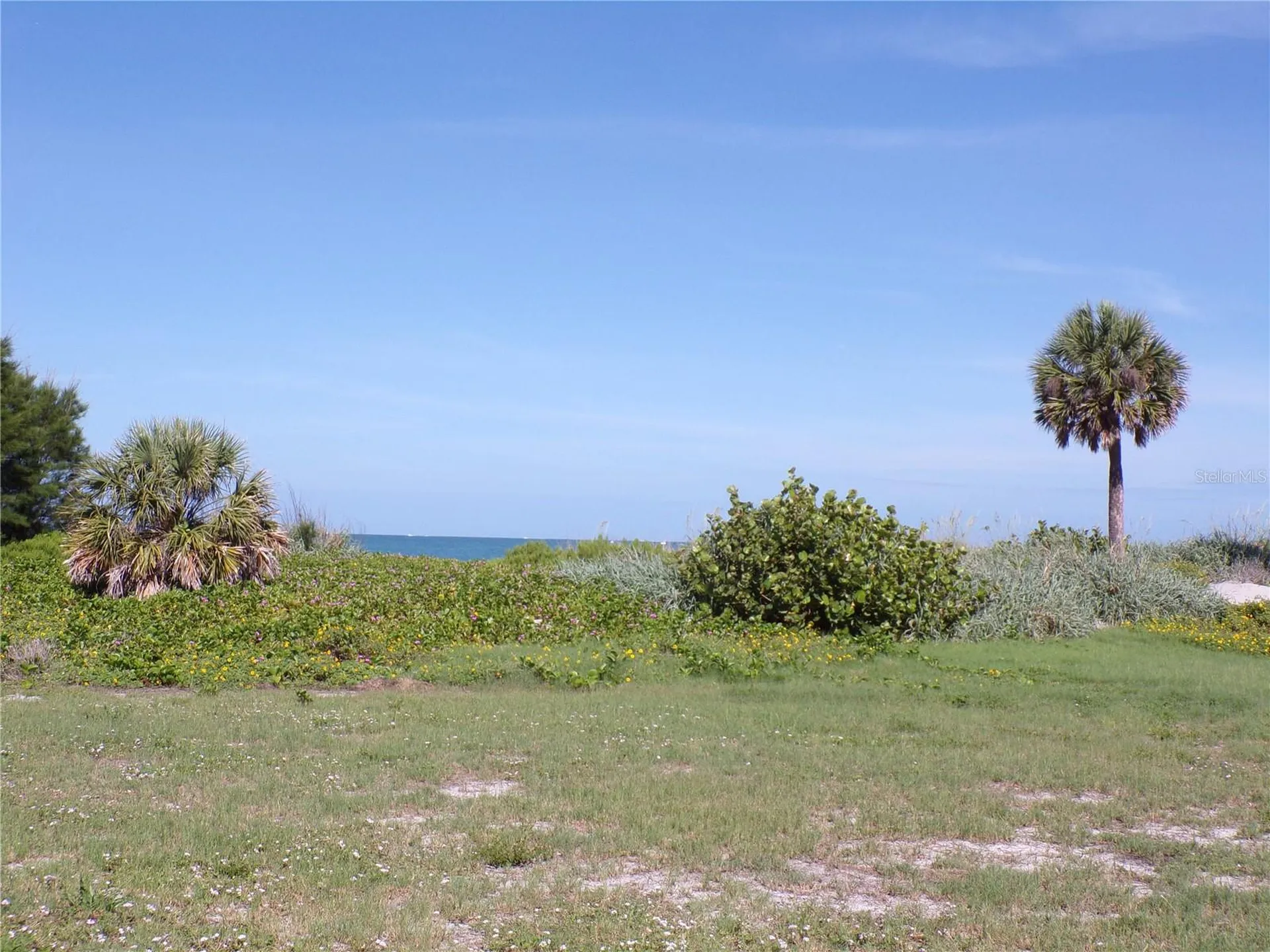 1124 Sunset Drive Venice FL 34285