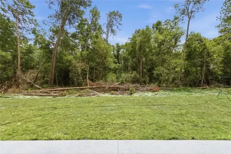 10 Bay Lane Ocklawaha FL 32179