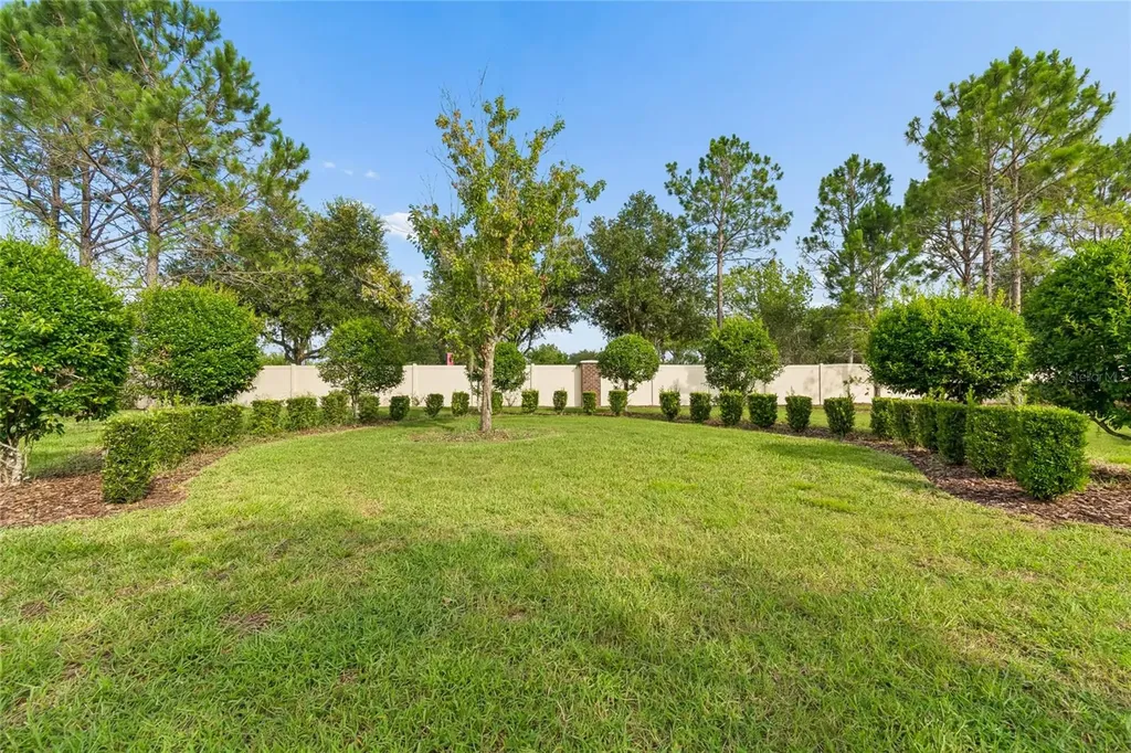 9323 Bella Vita Circle Land O Lakes FL 34637