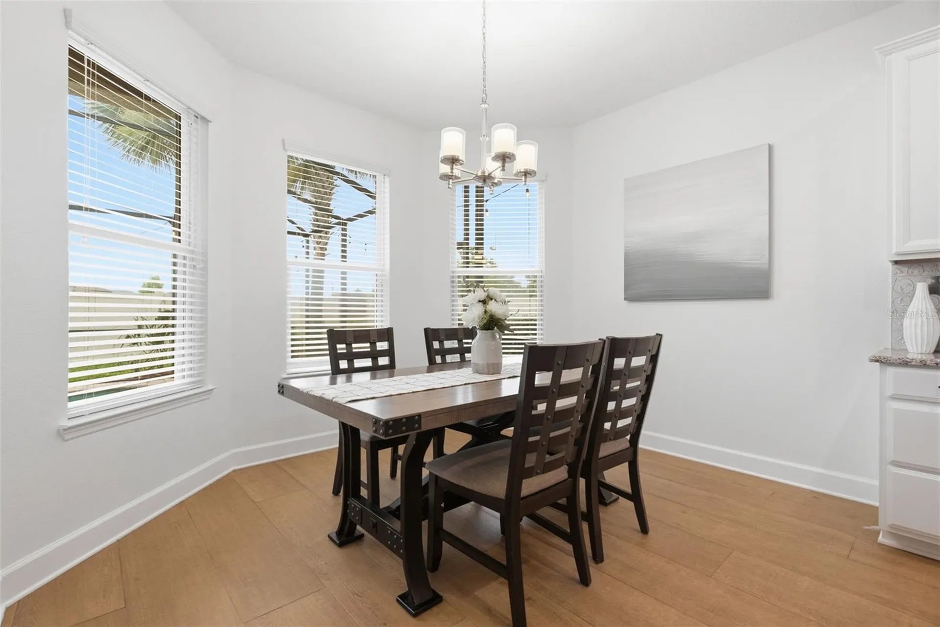 9323 Bella Vita Circle Land O Lakes FL 34637