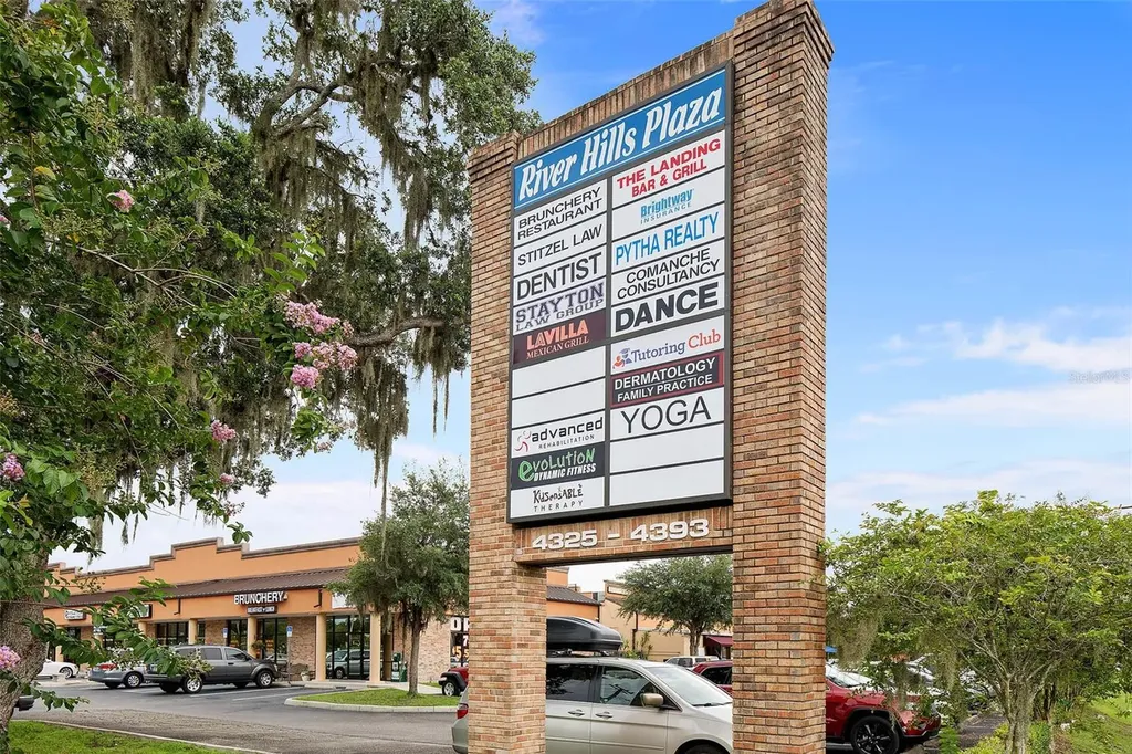 4325 Lynx Paw Trail Valrico FL 33596