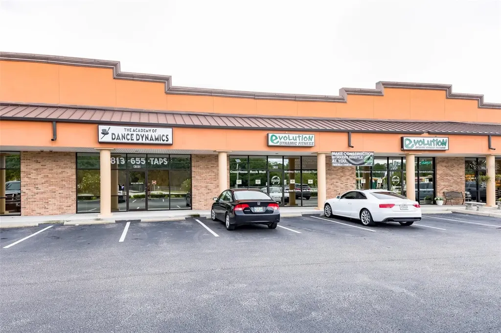 4325 Lynx Paw Trail Valrico FL 33596