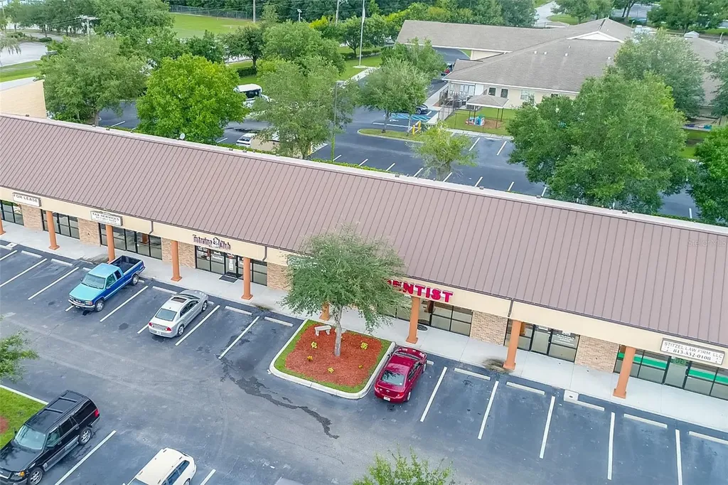 4325 Lynx Paw Trail Valrico FL 33596