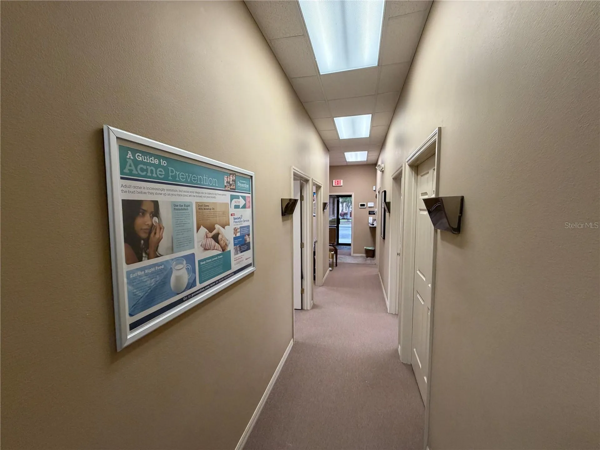 4325 Lynx Paw Trail Valrico FL 33596