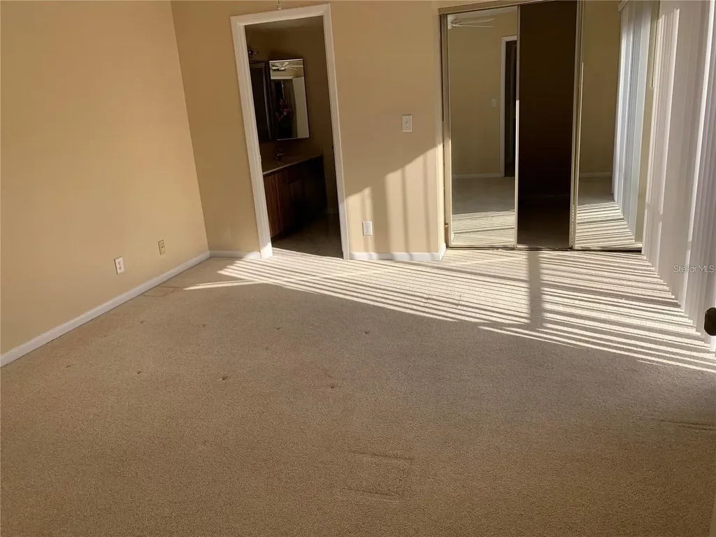 2602 7th Court Palm Harbor FL 34684
