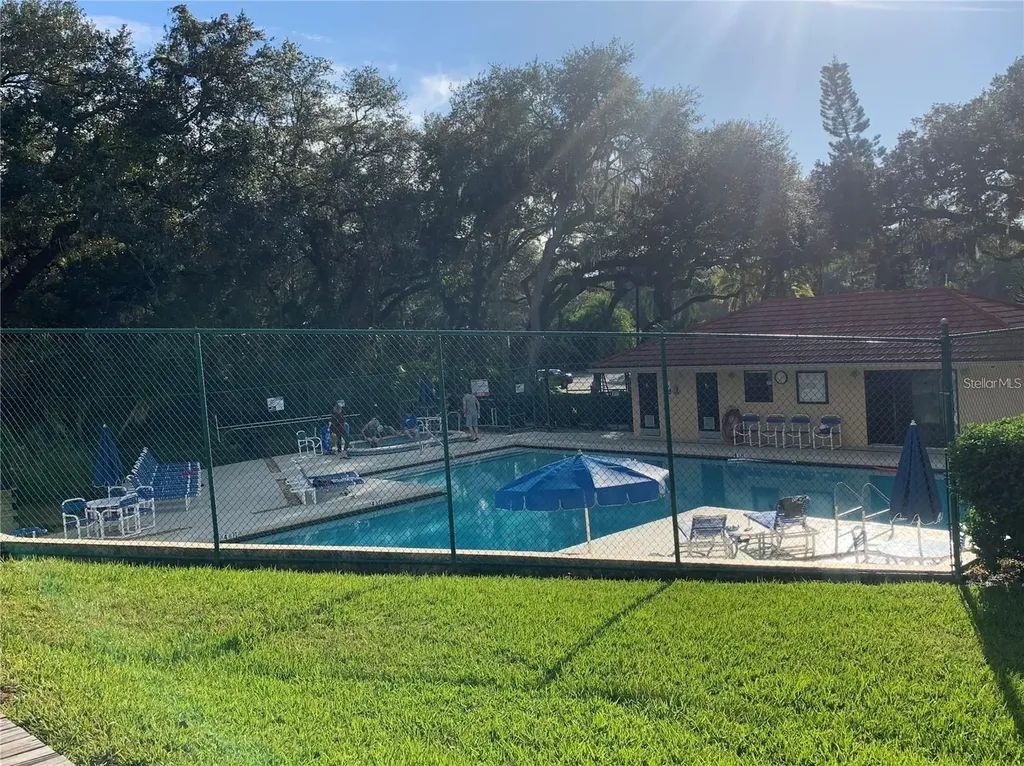 2602 7th Court Palm Harbor FL 34684