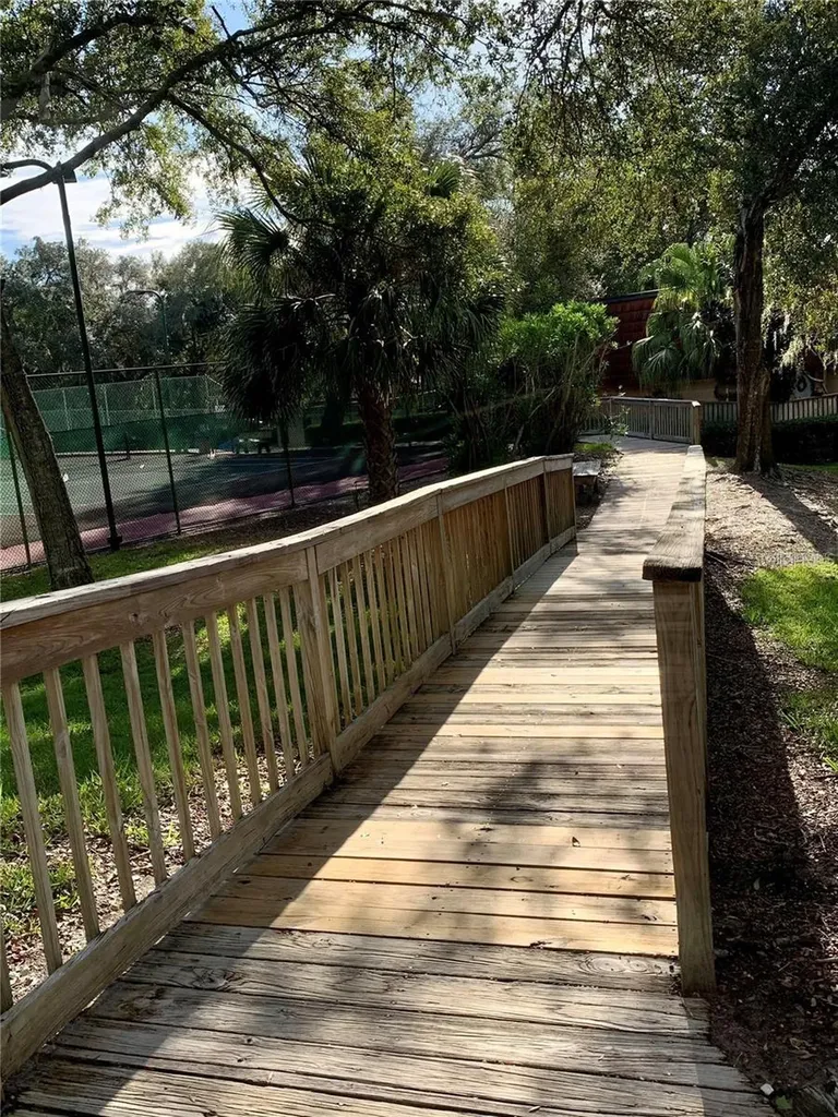 2602 7th Court Palm Harbor FL 34684