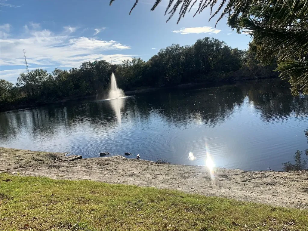 2602 7th Court Palm Harbor FL 34684