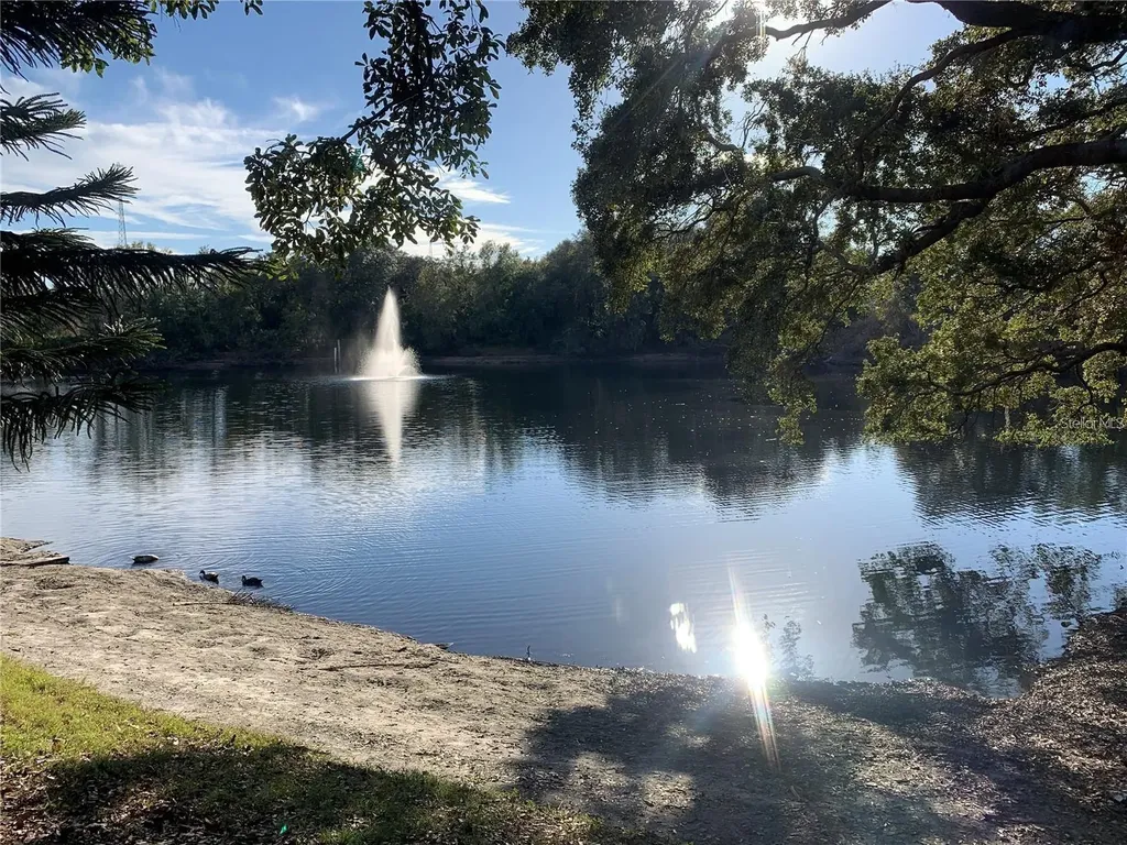 2602 7th Court Palm Harbor FL 34684