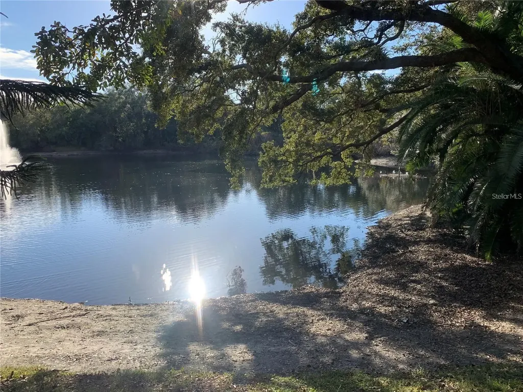 2602 7th Court Palm Harbor FL 34684