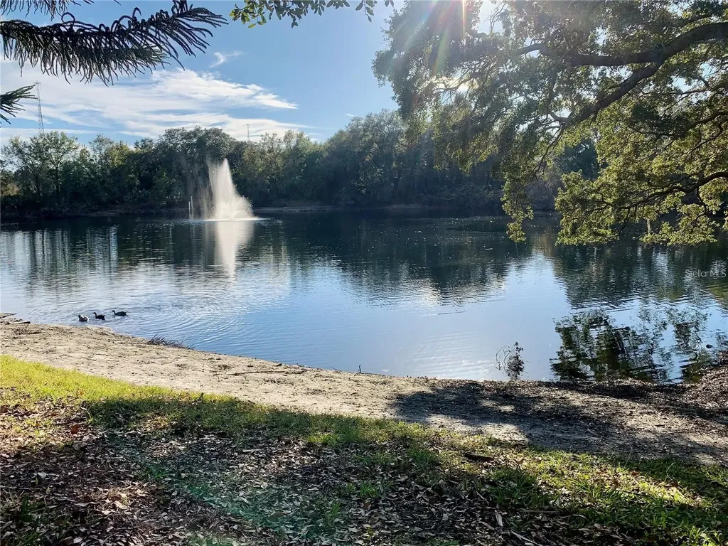 2602 7th Court Palm Harbor FL 34684