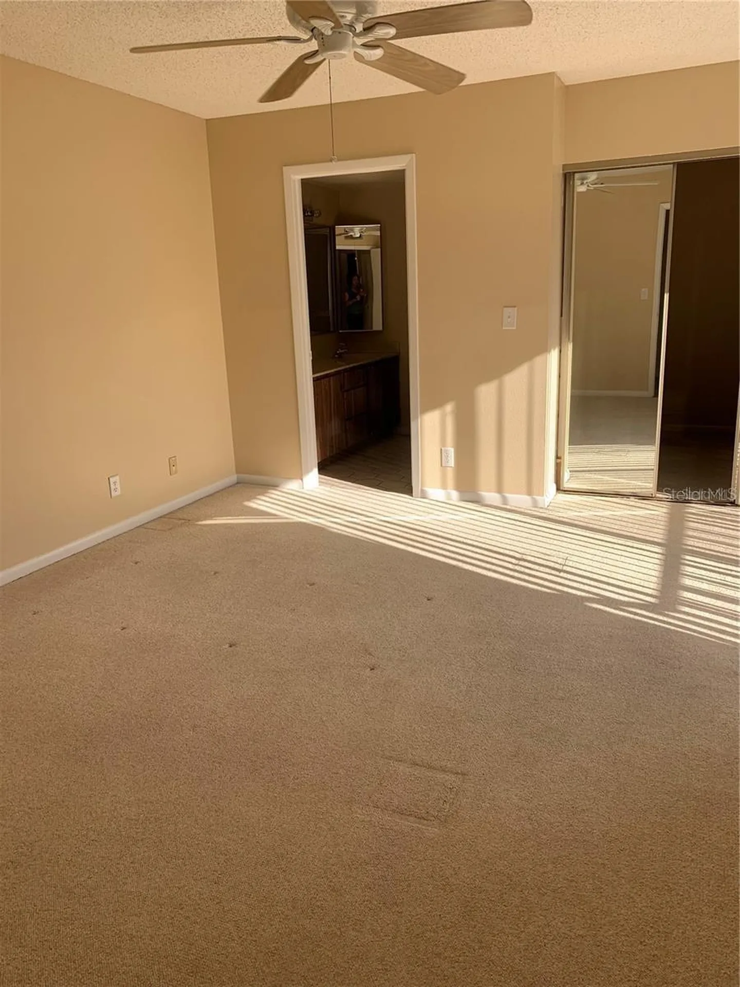 2602 7th Court Palm Harbor FL 34684