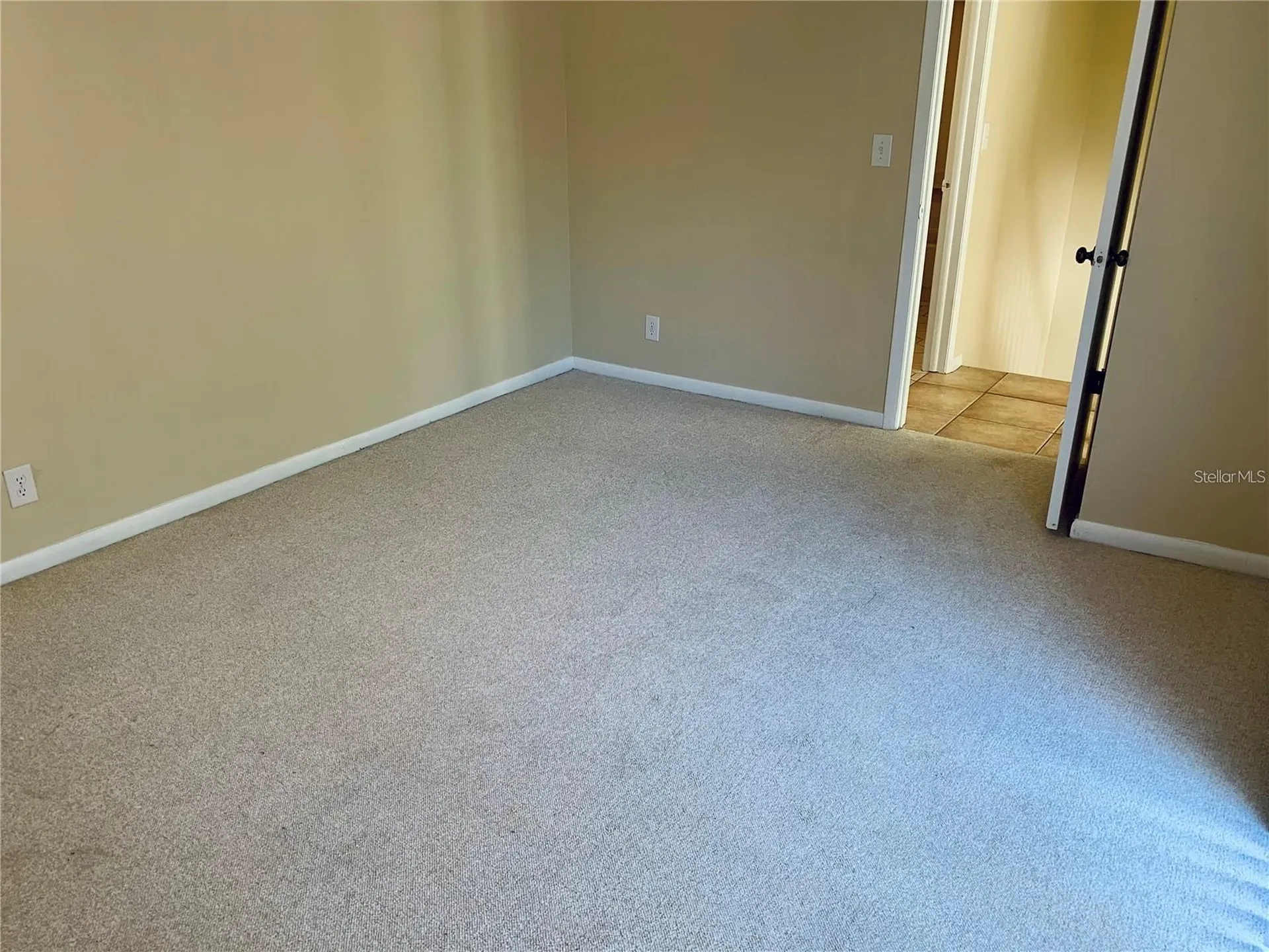 2602 7th Court Palm Harbor FL 34684