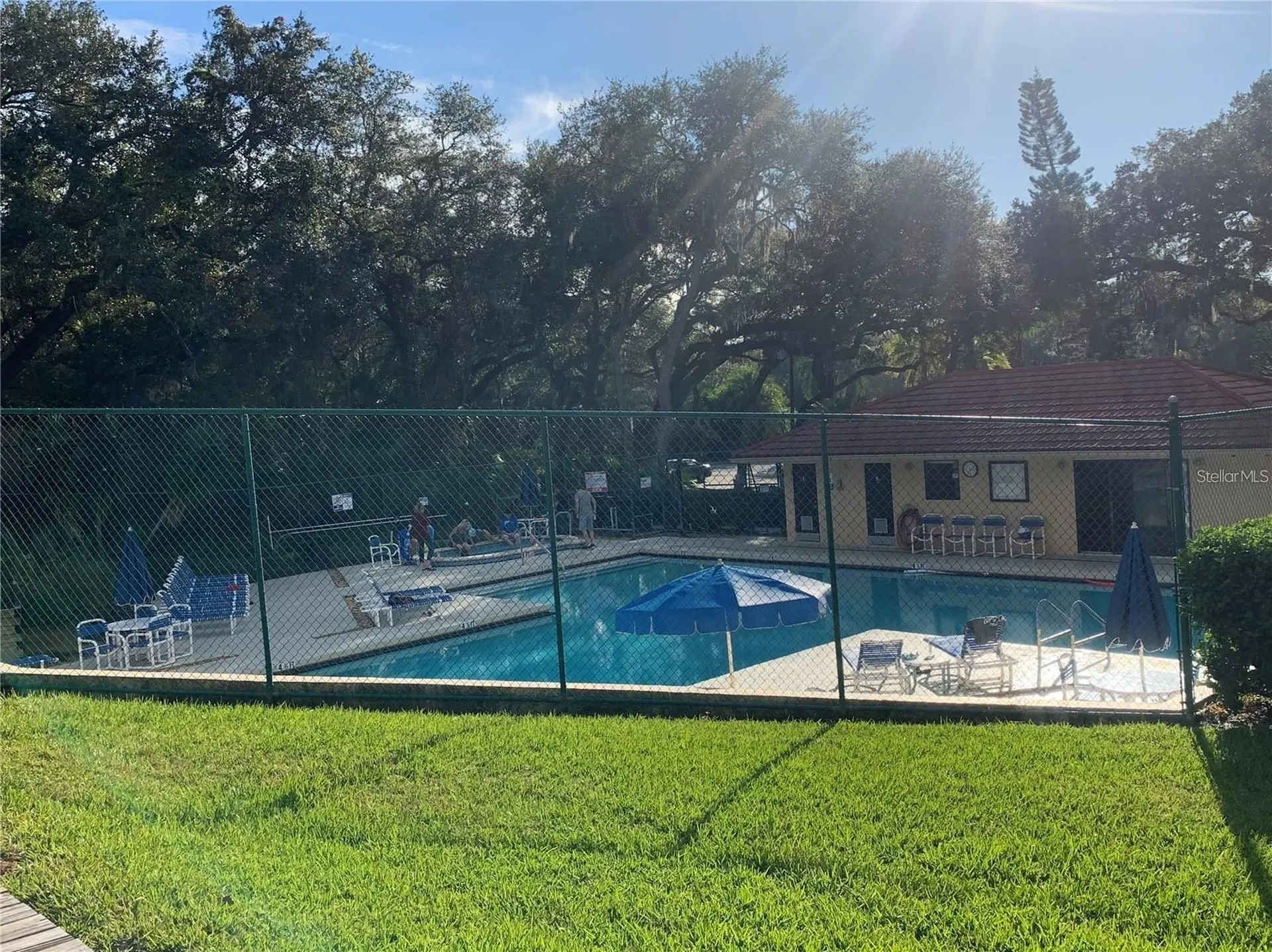 2602 7th Court Palm Harbor FL 34684