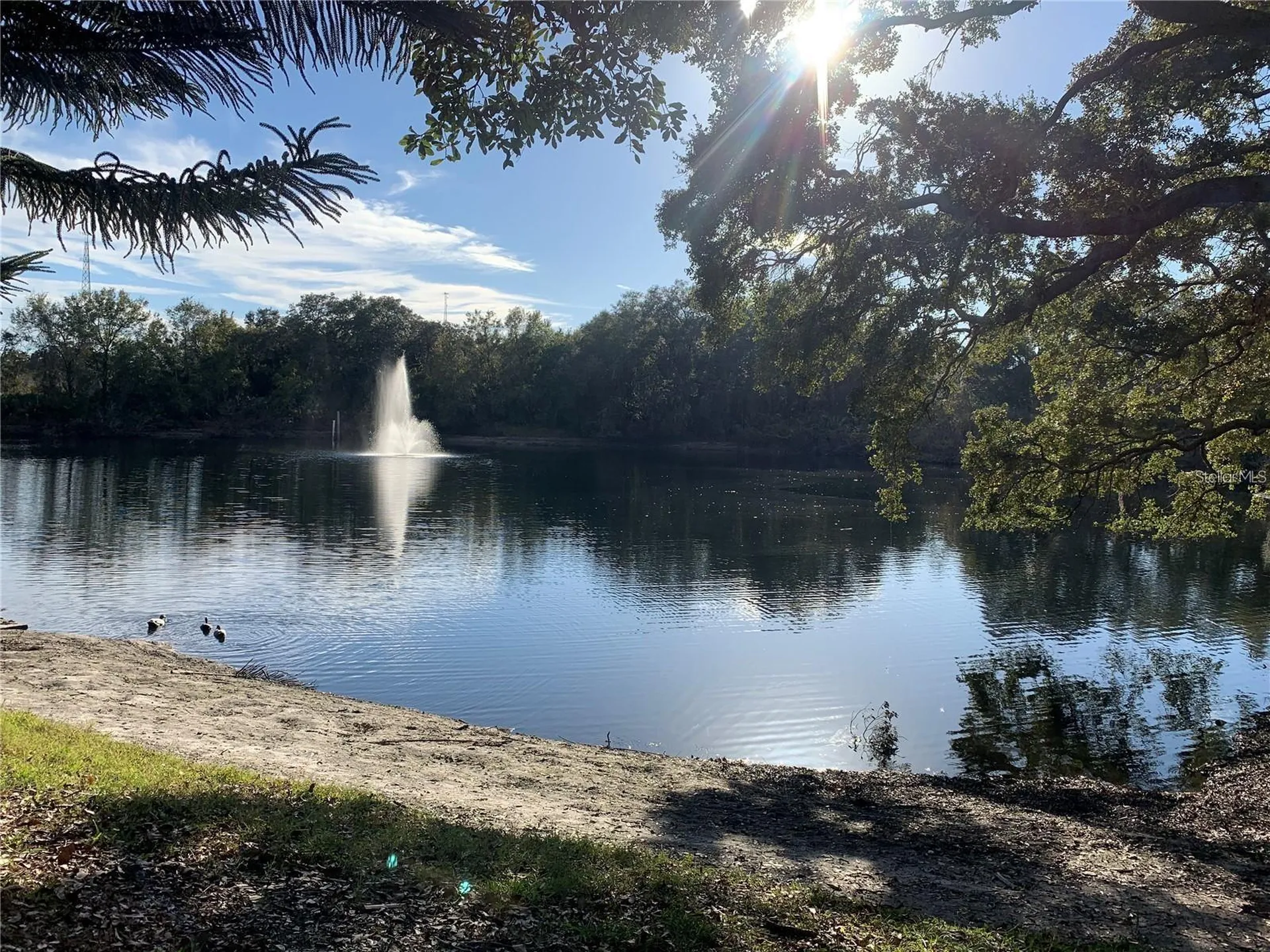2602 7th Court Palm Harbor FL 34684