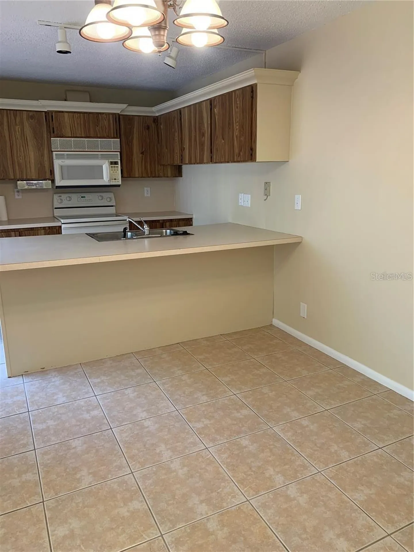 2602 7th Court Palm Harbor FL 34684