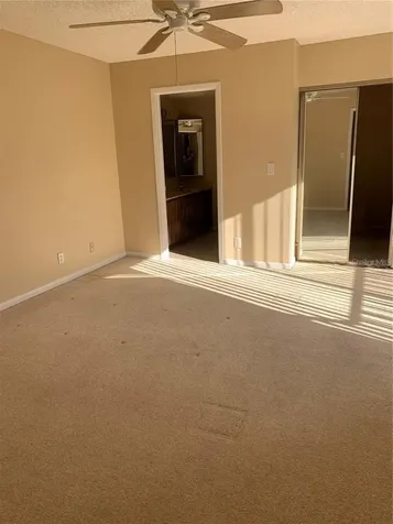 2602 7th Court Palm Harbor FL 34684