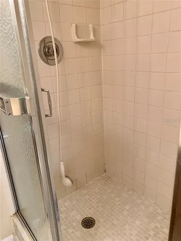 2602 7th Court Palm Harbor FL 34684