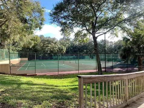 2602 7th Court Palm Harbor FL 34684