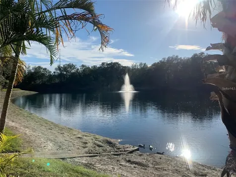 2602 7th Court Palm Harbor FL 34684
