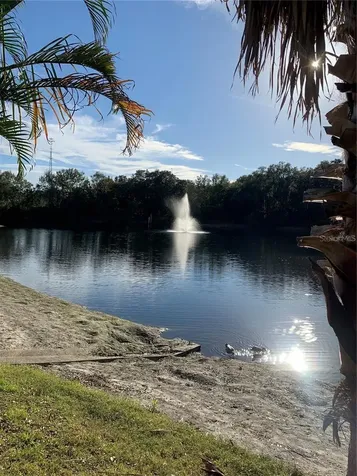 2602 7th Court Palm Harbor FL 34684