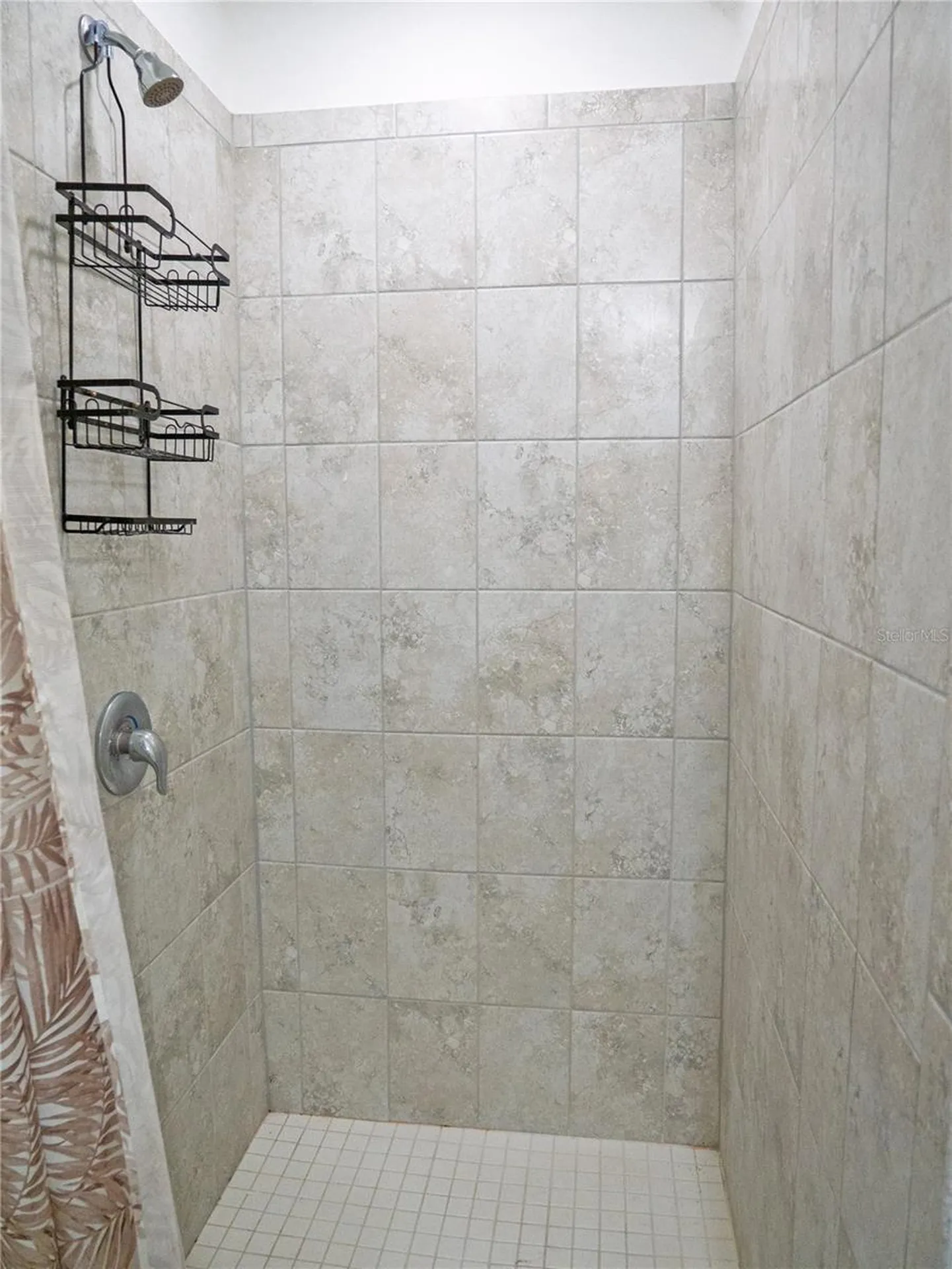 2876 Misty Marble Drive Zephyrhills FL 33540