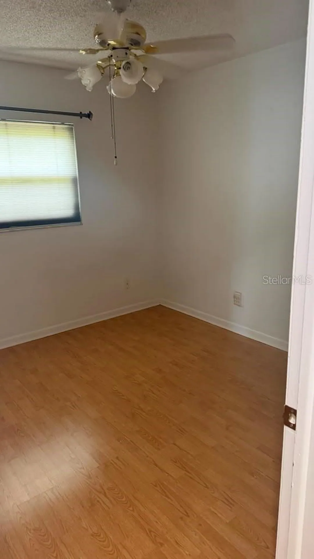 6412 N Woodlynne Avenue Tampa FL 33614