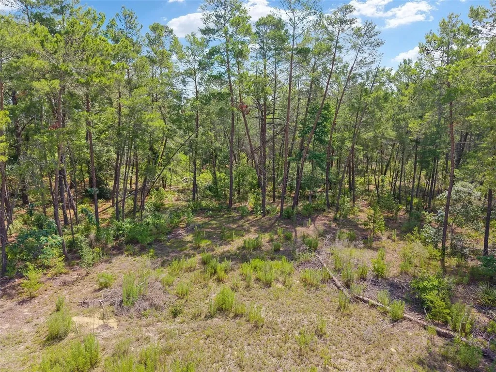 17171 SW 17th Circle Ocala FL 34473