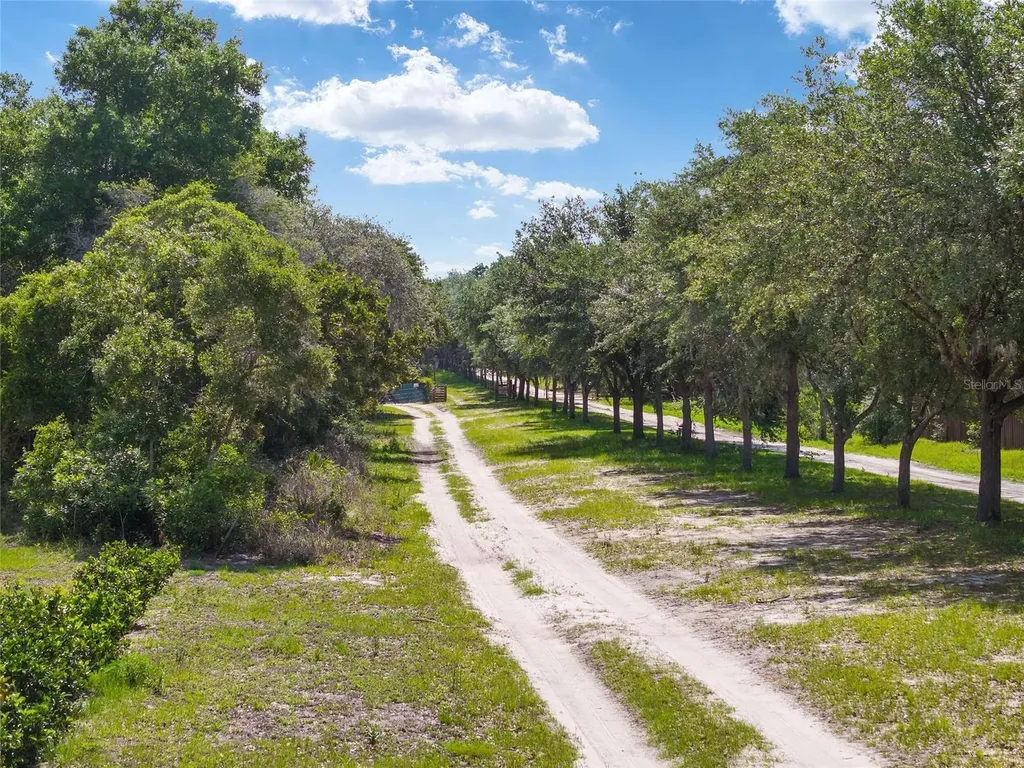 17171 SW 17th Circle Ocala FL 34473