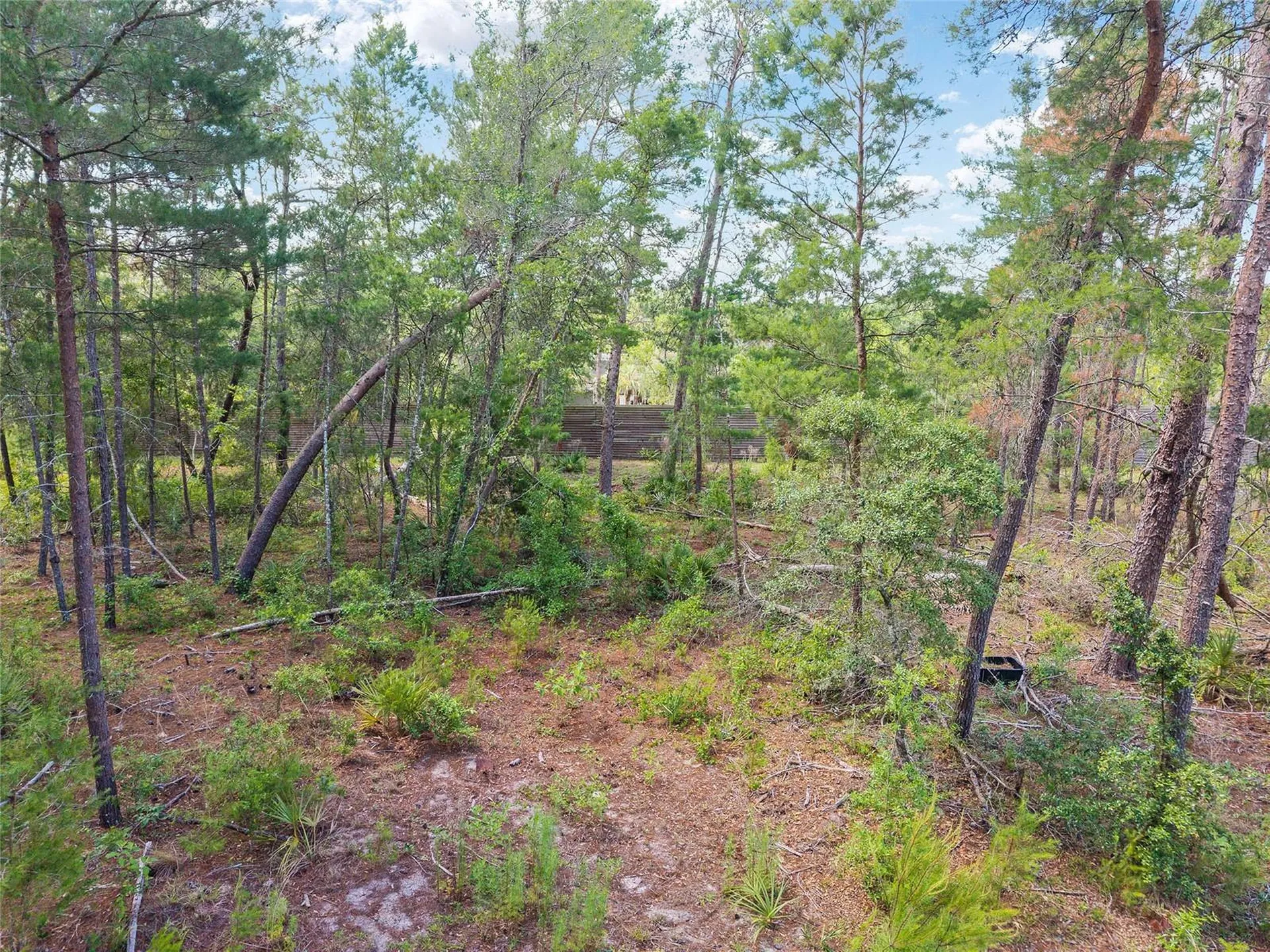 17171 SW 17th Circle Ocala FL 34473