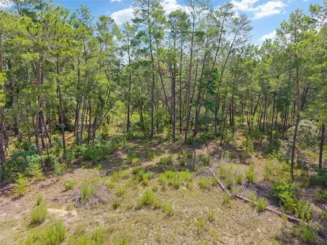 17171 SW 17th Circle Ocala FL 34473