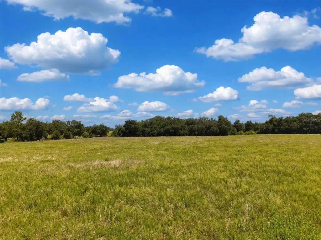 000 SE 200 Avenue SE Morriston FL 32668