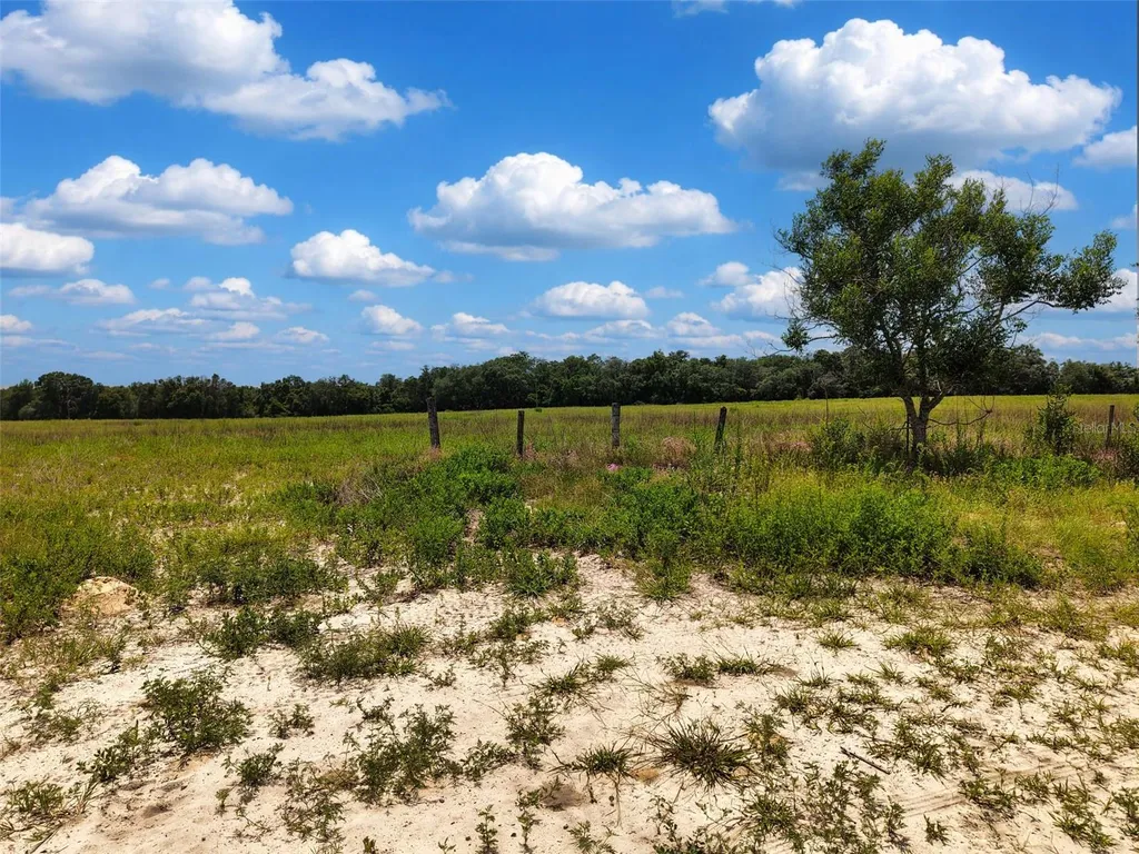 000 SE 200 Avenue SE Morriston FL 32668