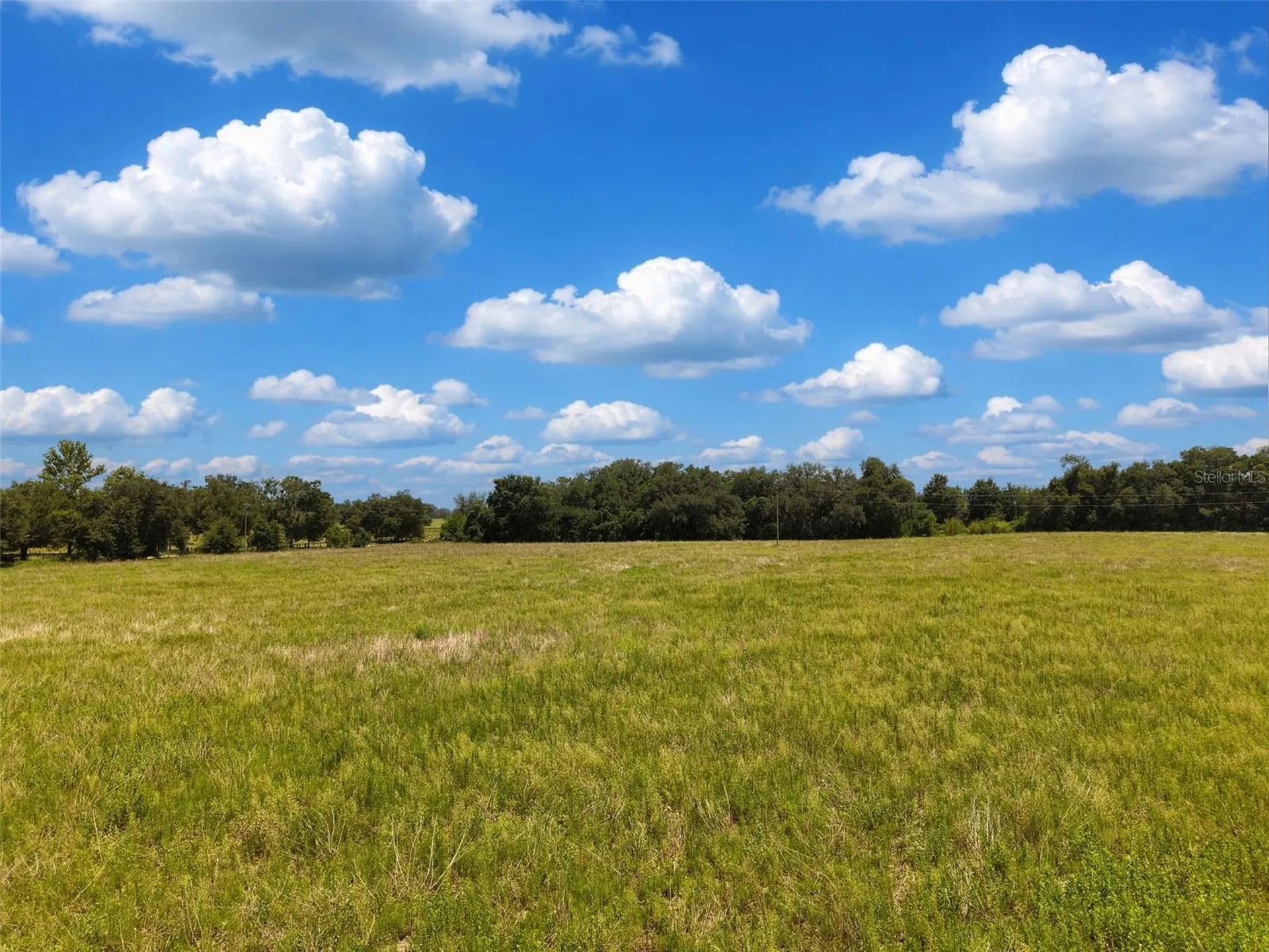 000 SE 200 Avenue SE Morriston FL 32668