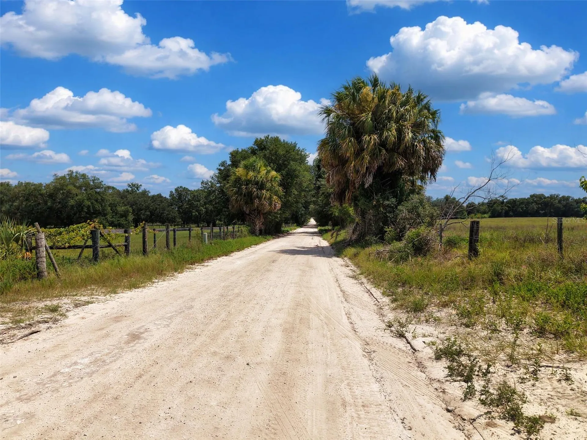 000 SE 200 Avenue SE Morriston FL 32668