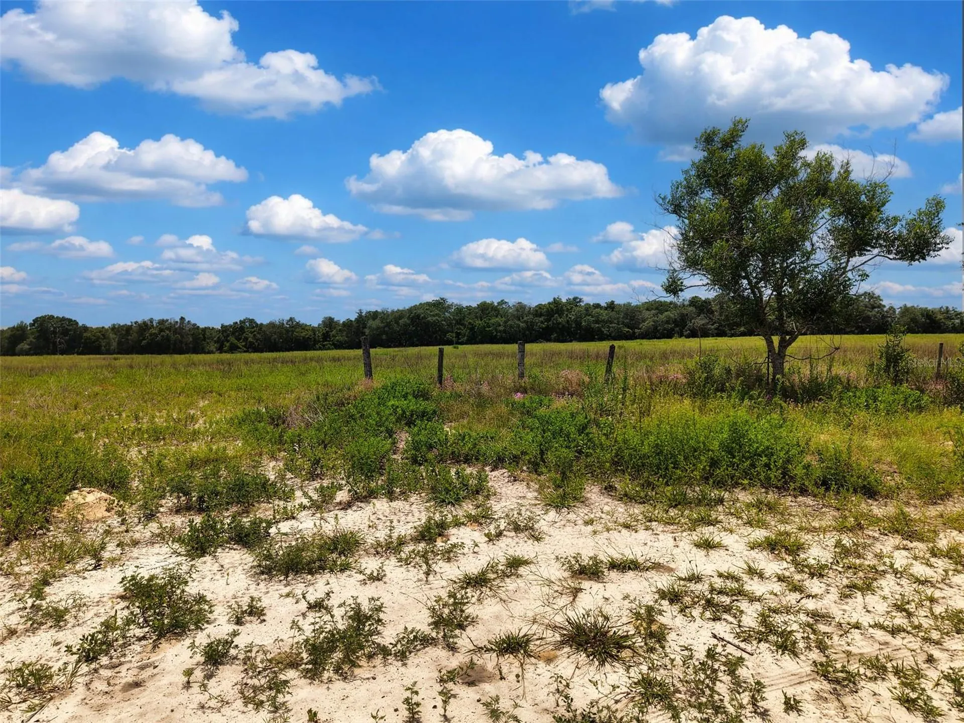 000 SE 200 Avenue SE Morriston FL 32668