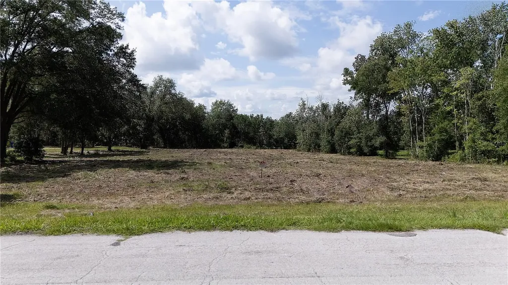 0 Hedgerow Drive Wesley Chapel FL 33543