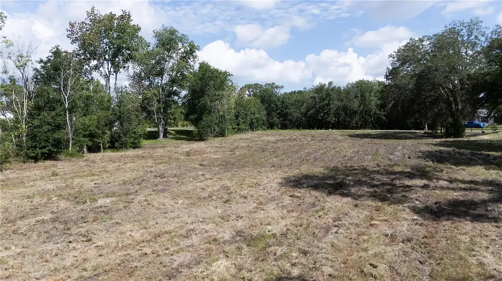 0 Hedgerow Drive Wesley Chapel FL 33543