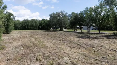 0 Hedgerow Drive Wesley Chapel FL 33543