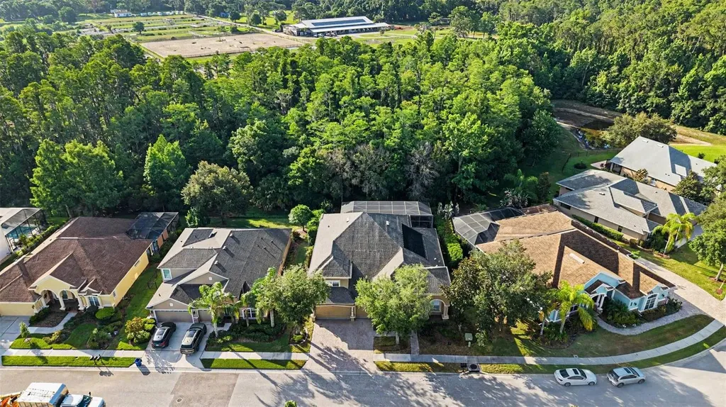 14906 Man O War Drive Odessa FL 33556