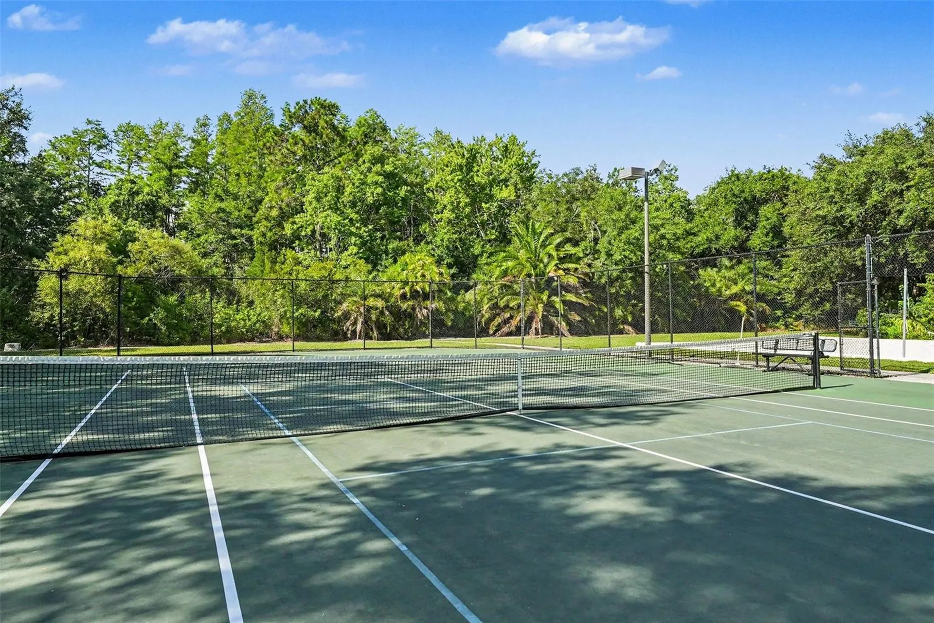 14906 Man O War Drive Odessa FL 33556